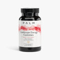Cordyceps Energy Gummies