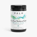 BCAA Post Workout Powder (Honeydew/Watermelon)