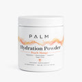 Hydration Powder (Peach Mango)